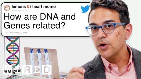 Geneticist Answers Genetics Questions From Twitter | Tech Support | WIRED