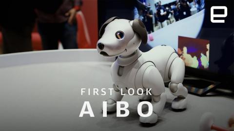 Aibo First Look: Impossibly Cute