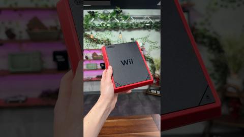 The Bizarre Nintendo Wii Mini