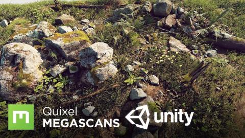REVEAL: Megascans + Unity