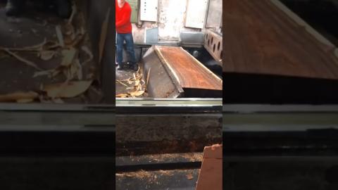 Satisfying Wood Processing???????????? #satisfying #shorts