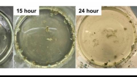 3D Printing News Unpeeled: 3D Printing Four Story Building, Degradable Polymers and Hypersonics