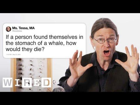 Biologist Answers Even More Biology Questions From Twitter | Tech Support | WIRED