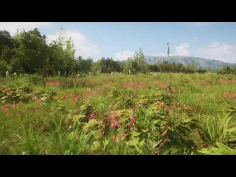 MAWI Meadow Forest | Unreal Engine 5.3 | Sneak Peek Daytime #unrealengine #UE5 #gamedev
