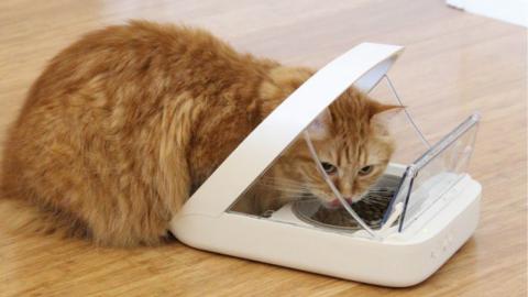 5 Amazing Pet Gadgets You MUST HAVE
