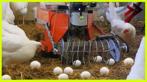 Incredible Modern Livestock Machines and their Powerful Engineering, Technology and Tools ►2