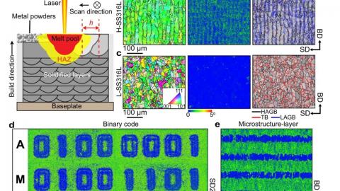 3D Printing News Unpeeled: Programmable Microstructure, Medicated Ear Stents