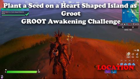 Plant a Seed on a Heart Shaped Island as Groot Location - Fortnite GROOT Awakening Challenge