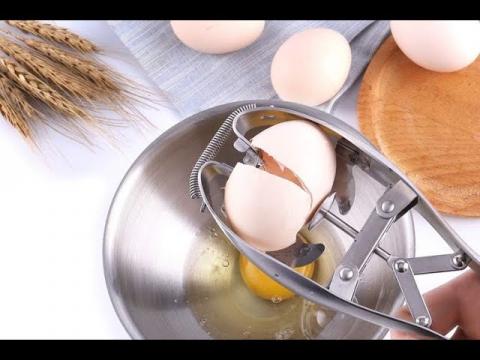 8 Egg Gadgets Put To The Test Available Online