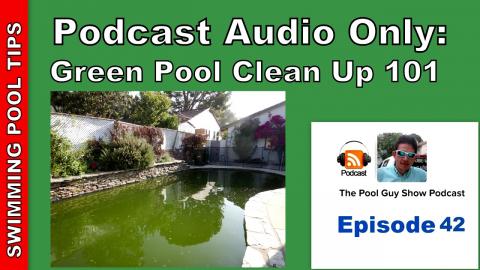 Green Pool Clean Up 101: How to Turn Your Green Pool Back to Blue and Helpful Tips