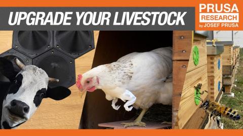 Upgrade your livestock: 3D printed accessories for chickens, bees, cows, horses and more!