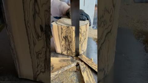 Cutting Wood Is So Theraputic????‍????????‍???? #satisfying #woodworking #diytools #shorts