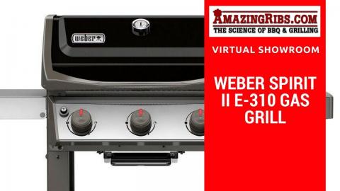 The Best Weber Spirit II E-310 Review