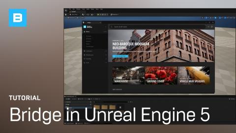 Getting started with Bridge in UE5