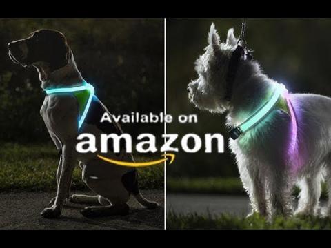 7 Amazing Gadgets Every Pet Owner Must Have Availabe On Amazon