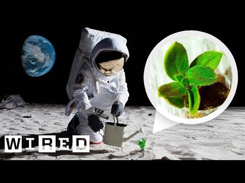 How NASA Biologists Plan to Grow Plants on the Moon | WIRED