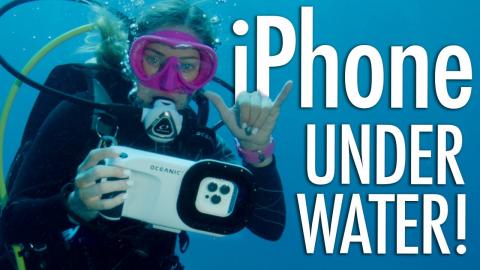 Diving with my iPhone! NEW Oceanic+ Dive Housing Review
