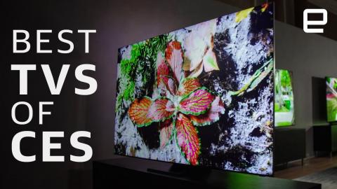 The best new TVs at CES