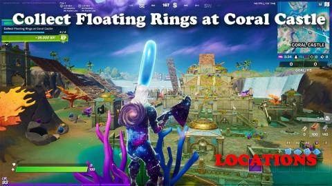 Collect Floating Rings at Coral Castle - LOCATIONS