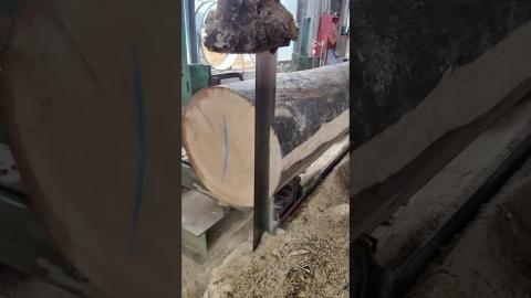 Check out This Cool Cutting Saw????????????????#satisfying #shortvideo #shorts