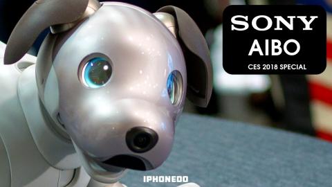 This A.I. Dog Is Your New Best Friend — Sony AIBO [CES 2018 Special]