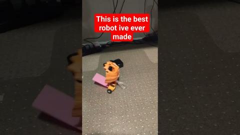 Pumpkin robot test