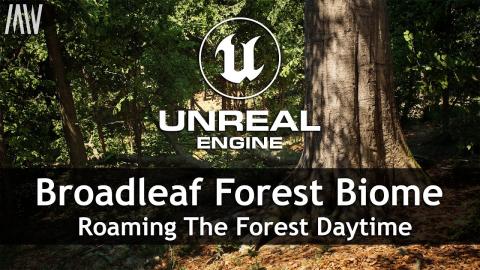 MAWI Broadleaf Forest | Unreal Engine 5 | Roaming The Forest Daytime #unrealengine #UE5 #gamedev
