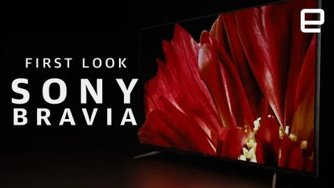 Sony Bravia Master Series 4K TV First Look
