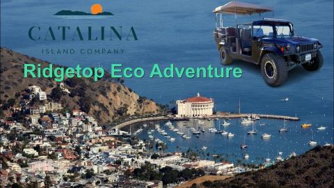 Catalina Ridgetop Eco Adventure Hummer Tour! 2-Minute Route Highlight Video