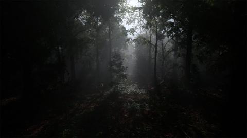 MAWI Meadow Forest | Unreal Engine 5.3 | Sneak Peek #unrealengine #UE5 #gamedev