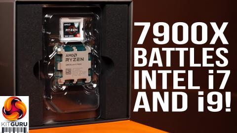 AMD Ryzen 9 7900X Review - it's a dog fight!