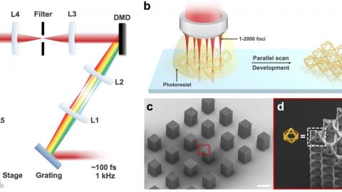 3D Printing News Unpeeled: Teamcenter, Fluidform, Digital Holography