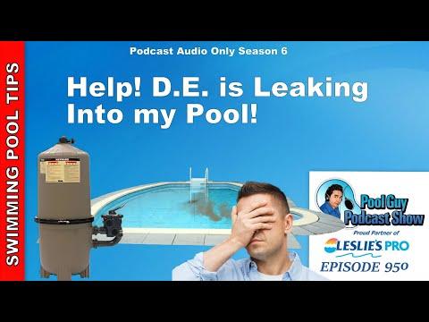 Help! D.E. is Leaking Into My Pool!