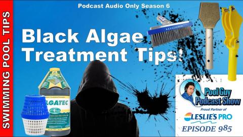 Black Algae Treatment Tips!