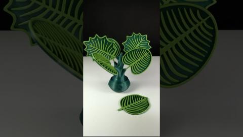 Leaf Drink Coasters | 3D Printing Ideas