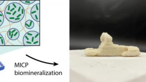 3D Printing News Unpeeled: Sprint Ray, Nuclear Power and Bone from Bacteria