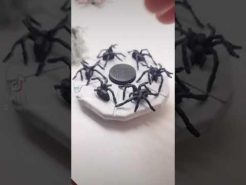 Flexible resin spiders kill broken legs. #animation #3dprinting #resinprinting #spiders