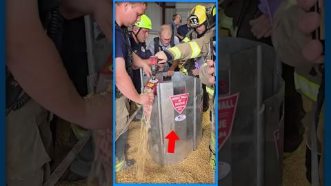 What Would You Do If You Stuck In A Grain Silo????????#new #ytshorts #youtubeshorts #food