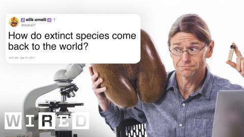 Biologist Answers Biology Questions From Twitter | Tech Support | WIRED