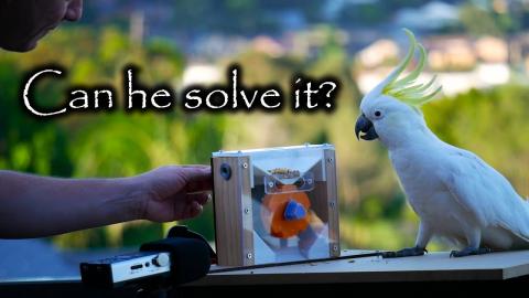 Only NERD Cockatoos can solve this puzzle!