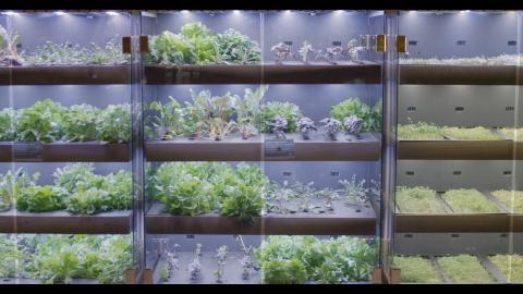 Farmshelf: Cost-effective custom parts for urban farming