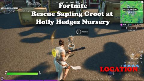 Fortnite - Rescue Sapling Groot at Holly Hedges Nursery