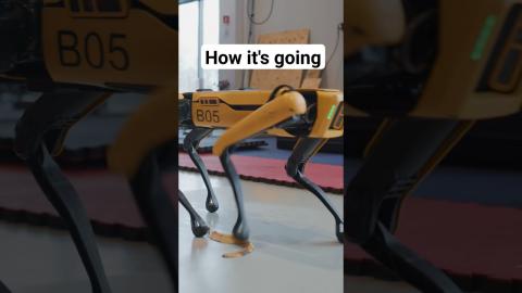 The next step for Spot #bostondynamics #robotics