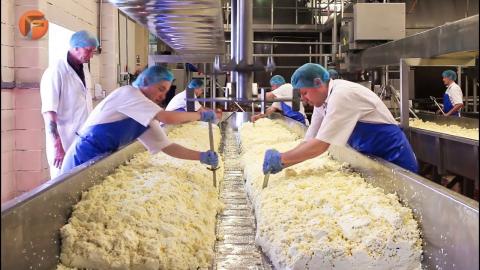 Amazing Cheese Factory Workers & Machines on Another Level