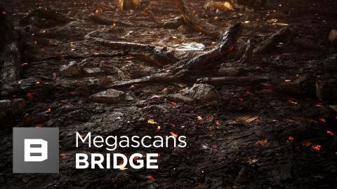 Megascans & UE4 - Live Link