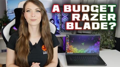 Razer Blade 15 BASE Laptop Review - NOT so EXPENSIVE !