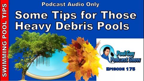 Some Tips for Those Heavy Debris Swimming Pools