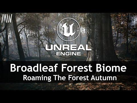MAWI Broadleaf Forest | Unreal Engine 5 | Roaming The Forest Autumn #unrealengine #UE5 #gamedev