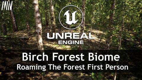 MAWI Birch Forest Biome | Unreal Engine | Roaming The Forest First Person