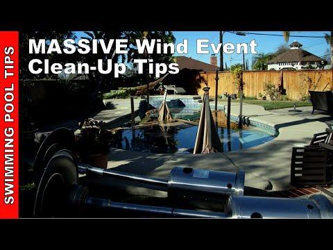 MASSIVE Wind Event Clean-Up Tips: Santa Ana Wind Wreck the San Gabriel Valley, California